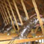 ac duct repair